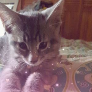 Meet your Posher, Bianca